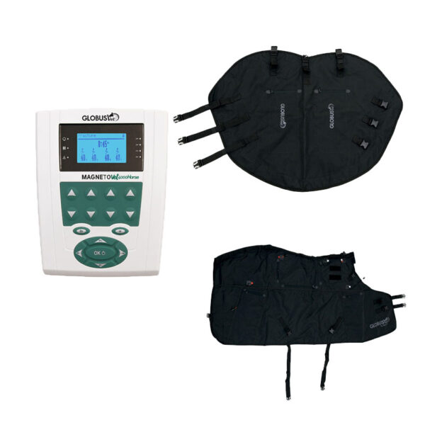 KIT MagnetoVet 4000 Horse Pro - GLOBUS VET