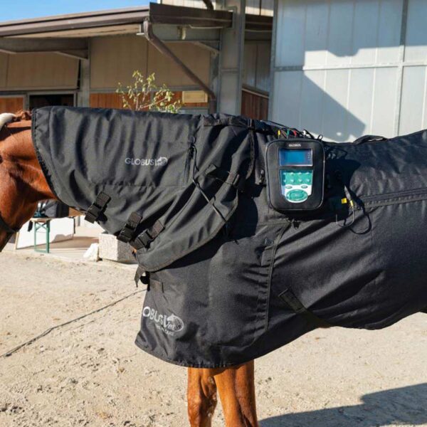 KIT MagnetoVet 4000 Horse Pro - GLOBUS VET - Image 3