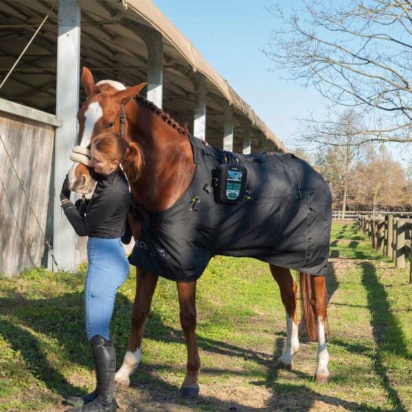 KIT MagnetoVet 4000 Horse Pro - GLOBUS VET - Image 4