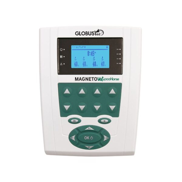 KIT MagnetoVet 4000 Horse Pro - GLOBUS VET - Image 2